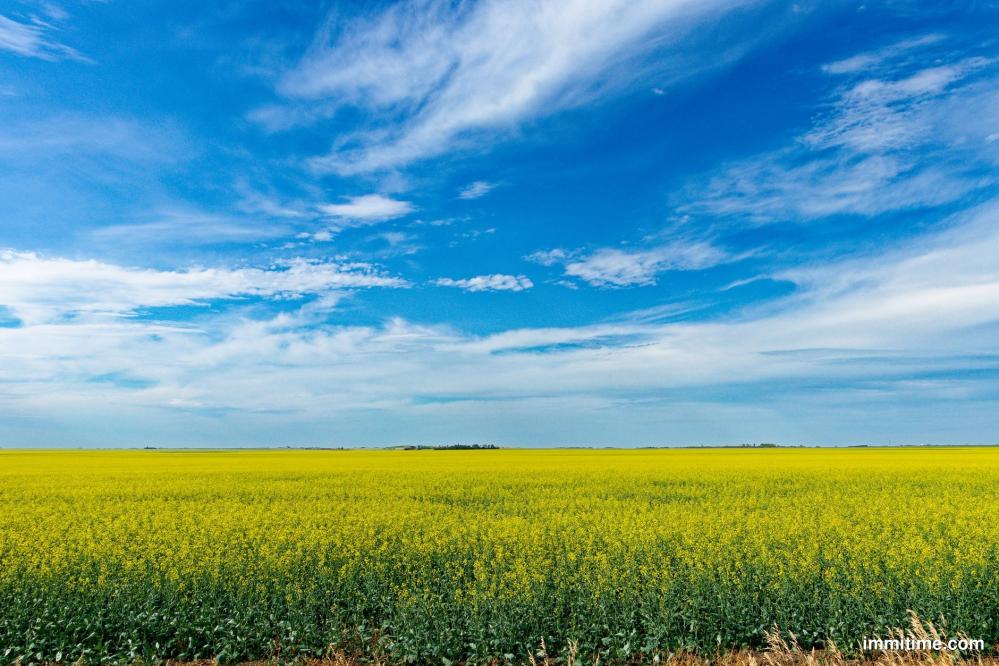 Saskatchewan's Provincial Nominee Program Cuts Processing Times Across the Board in Q2 2026