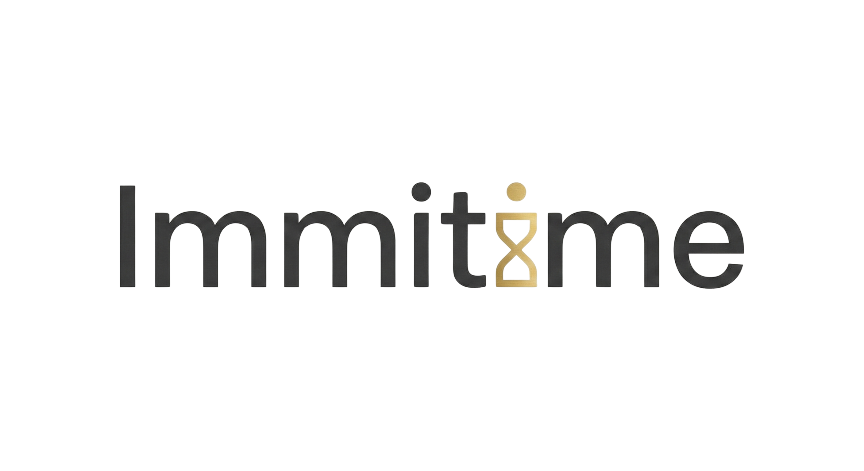 ImmiTime Logo